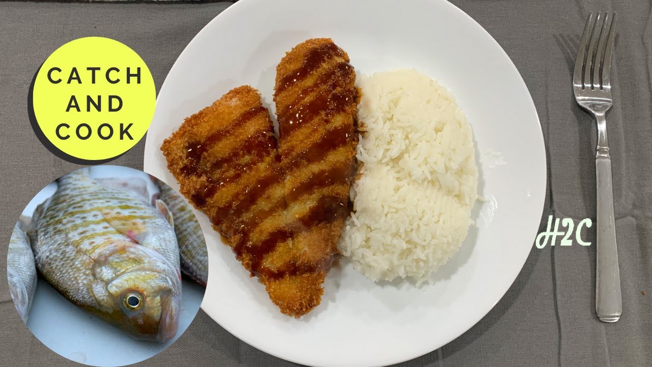 Barred Surfperch Katsu Catch and Cook