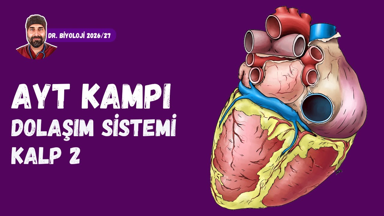 Dolaşım Sistemi Kalp 2 | Dr. Biyoloji | AYT D&ouml;nem 2026 - 2027