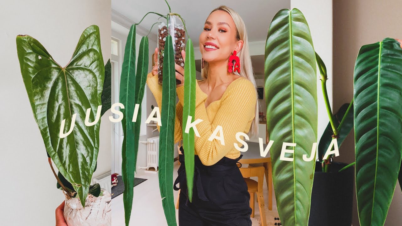 UUSIA KASVEJA❤️‍🔥