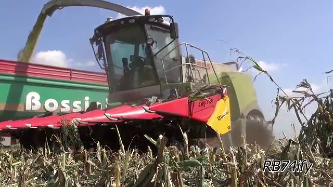 CLAAS Jaguar 980 + Capello Quasar R8, FENDT 828, 724, etc. - Mais Silage 2015