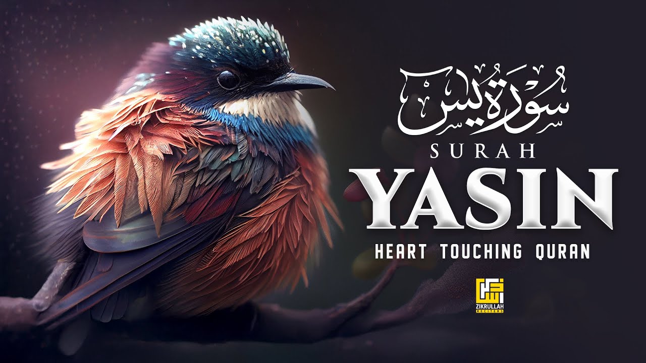 Surah Yaseen (سورة يس) | Morning Recitation | A Soft Quran Recitation for a Calm Mind | Zikrullah