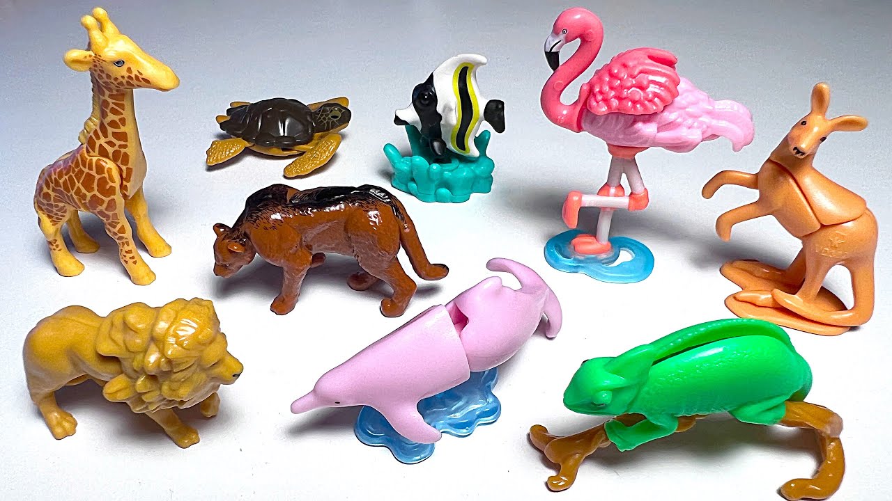 Sea Animals, Animals, Giraffe, Lion, Turtle, Flamingo, Chameleon, Kangaroo, Pink Dolphin, Monkey