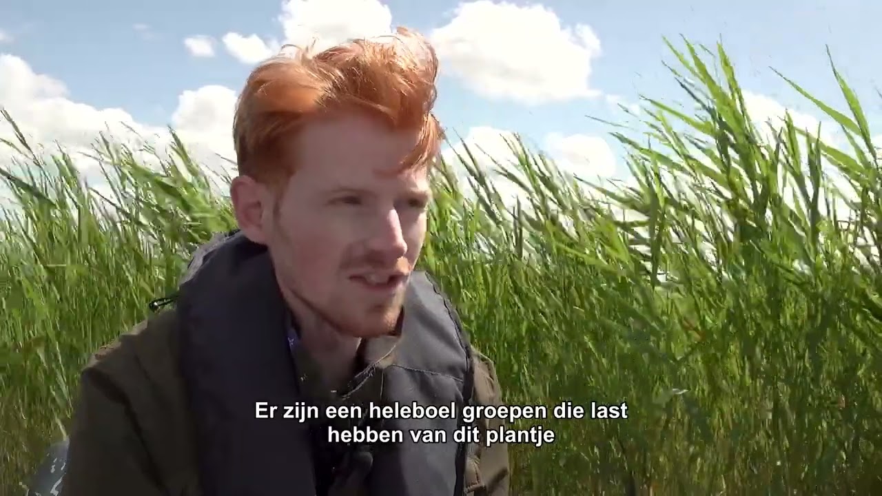 Exoten uit de sloten in Nationaal Park Weerribben-Wieden