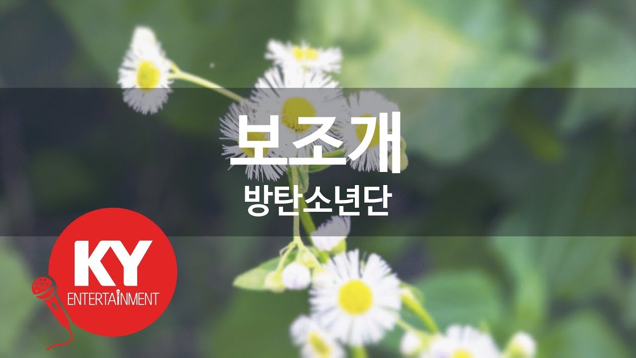 보조개 - 방탄소년단 (KY.90562) [KY 금영노래방] / KY Karaoke