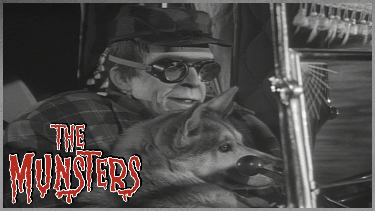 Call Of The Wild | The Munsters