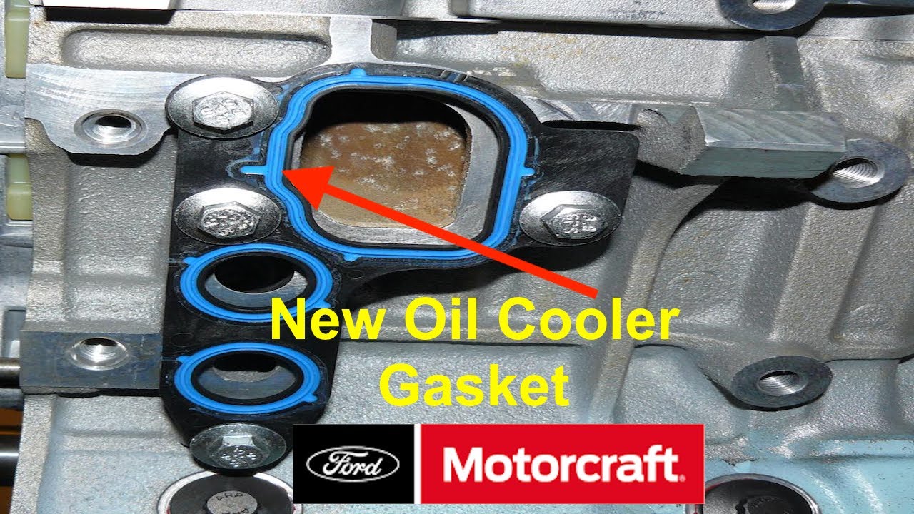Ford 4.6 Oil Cooler Gasket Replacement