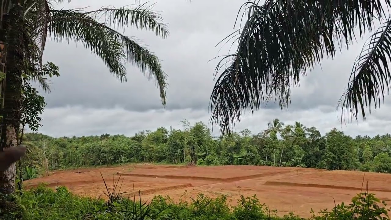 Dijual tanah strategis nempel peruntukan perumahan dan dekat jalan raya nasional 