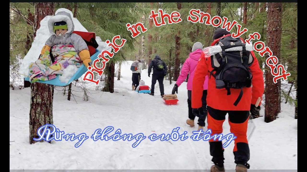 🇫🇮29: ĐI PICNIC MÙA ĐÔNG TRONG RỪNG TUYẾT TRĂNG XOÁ / Nuôi con ở bắc Âu