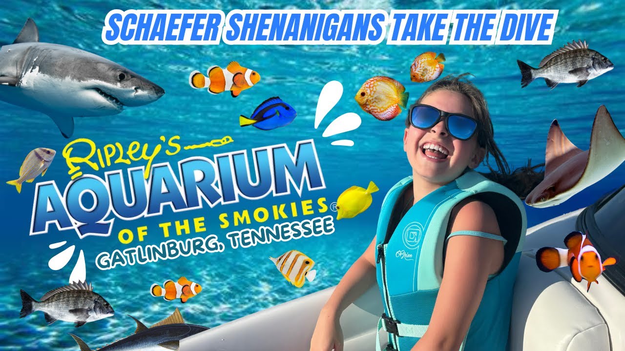 Ripley’s Aquarium Of The Smokies | Gatlinburg Tennessee