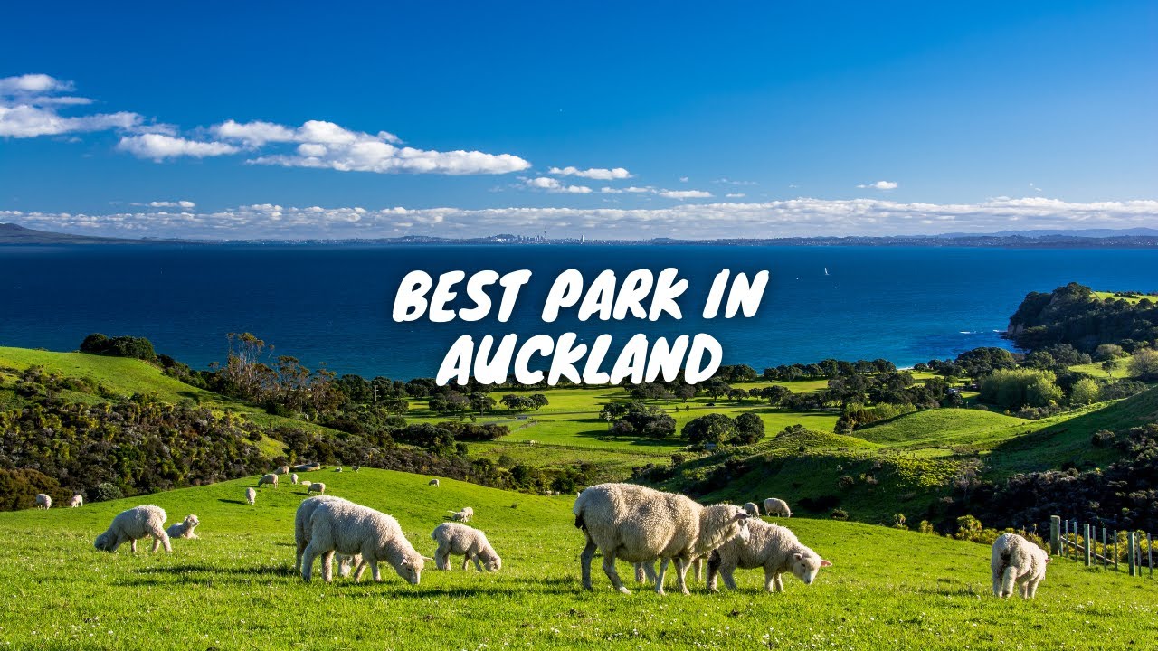 SHAKESPEARE REGIONAL PARK AUCKLAND | BEST AUCKLAND PARK