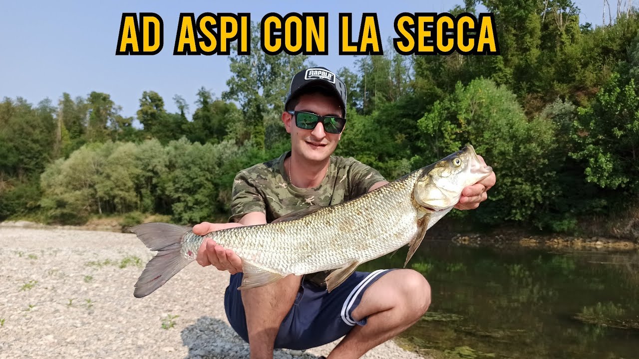 Po' in SECCA e pesca agli ASPI a SPINNING