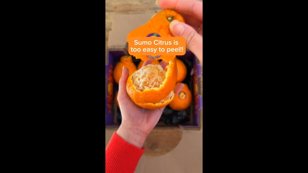 Sumo Citrus Easy to Peel