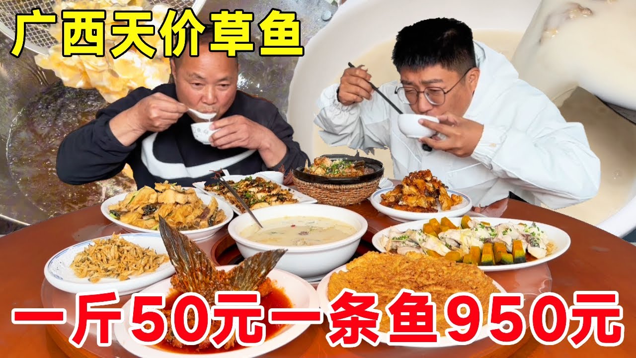 广西博白天价草鱼，山泉水养鱼只喂草，一斤50元一条鱼950块