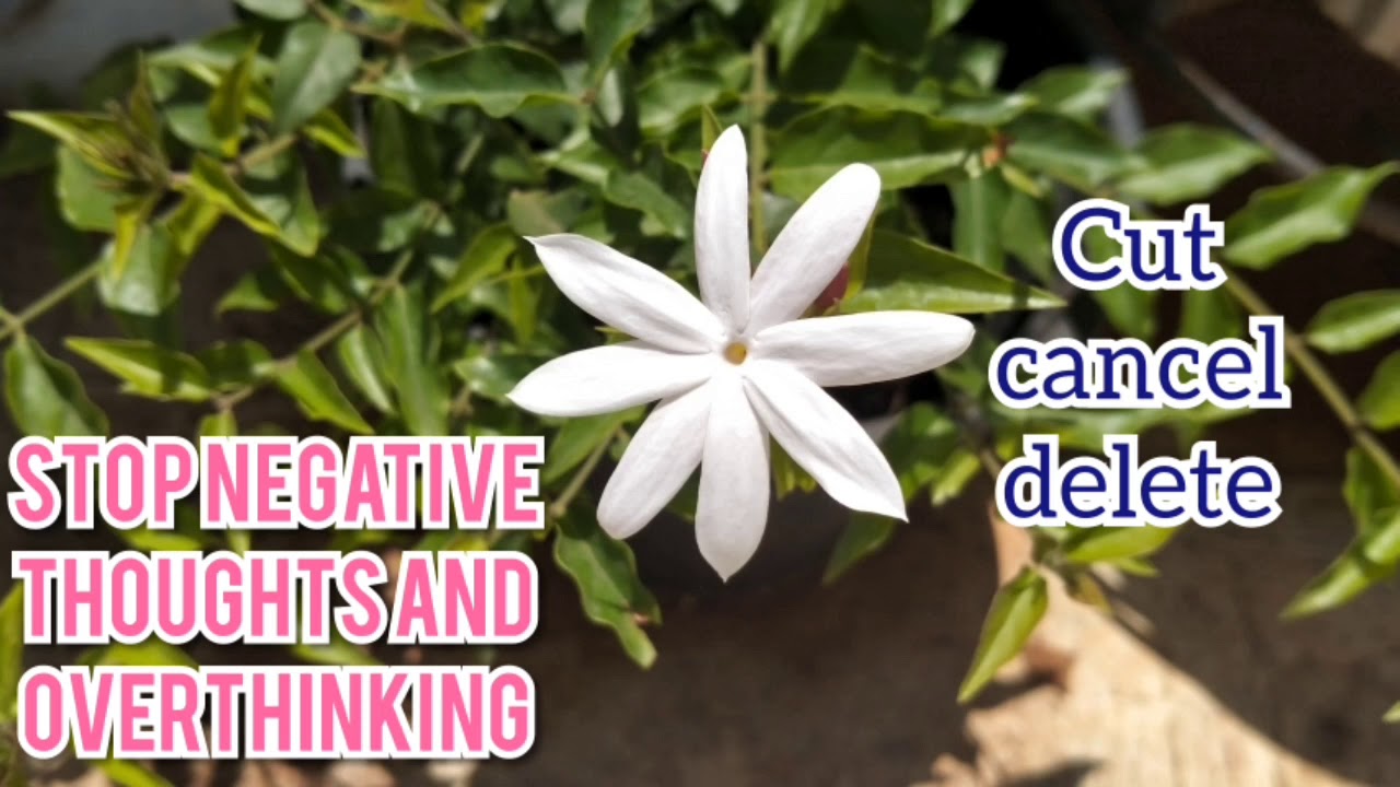 Stop negative thoughts and overthinking / Just listen / Switch words