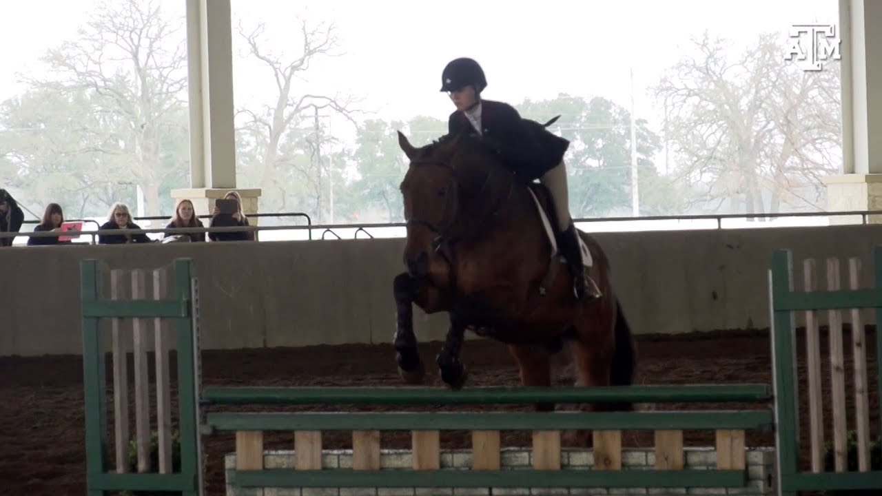 Equestrian: Highlights | A&M 14, UC Davis 2