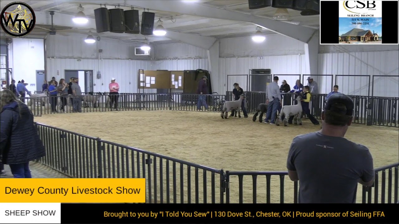 Dewey County Livestock Show