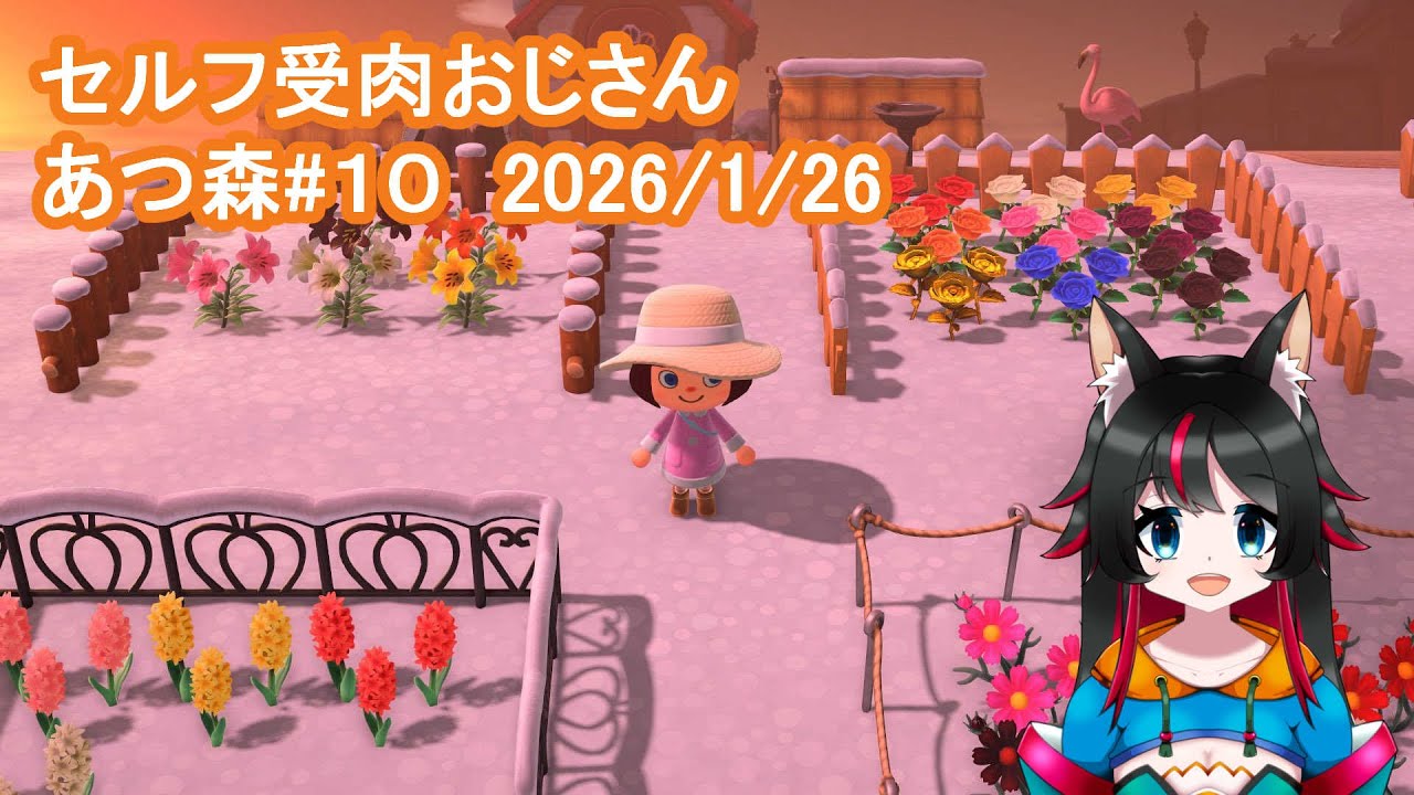 あつ森10回夜版　#はっふみ