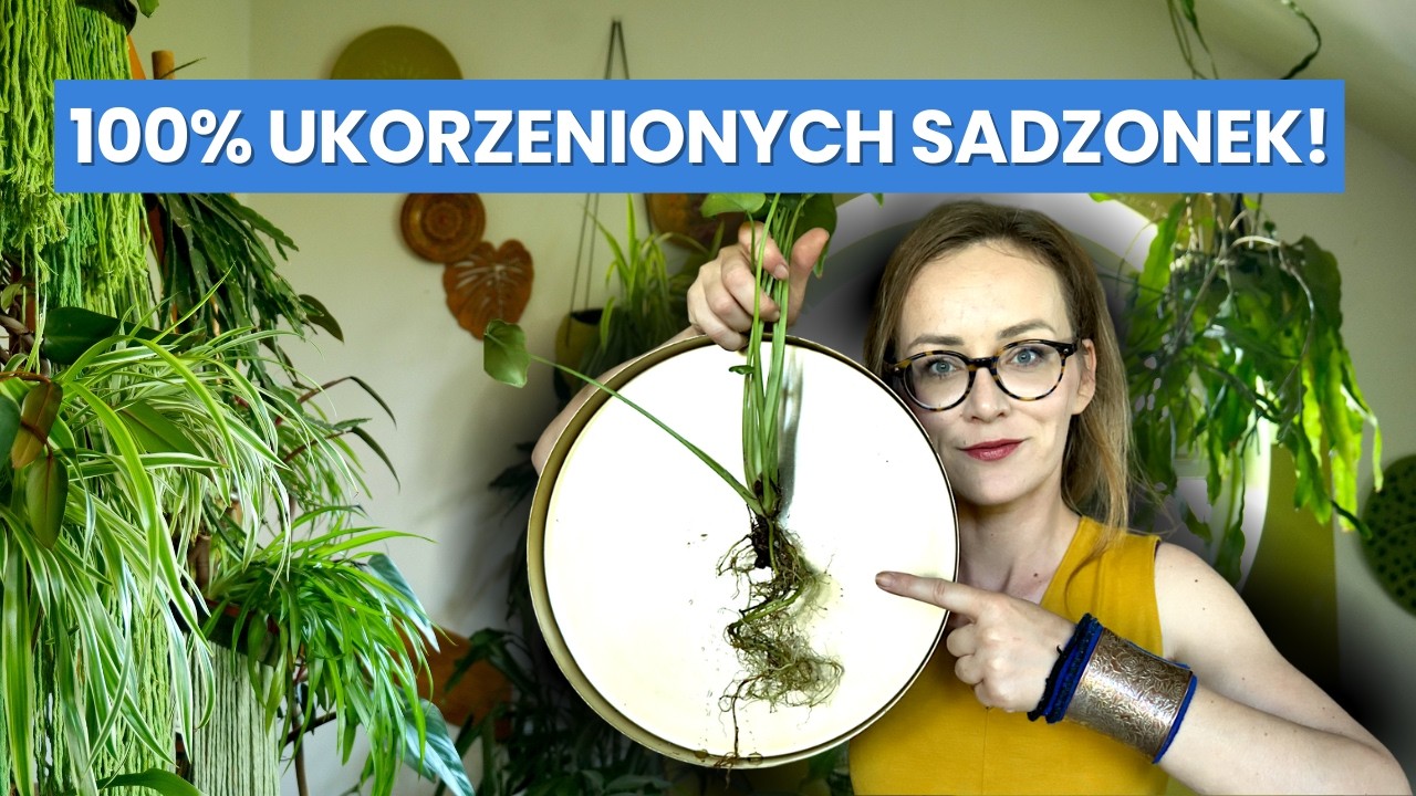 To MUSISZ wiedzieć o Rozmnażaniu Roślin Domowych