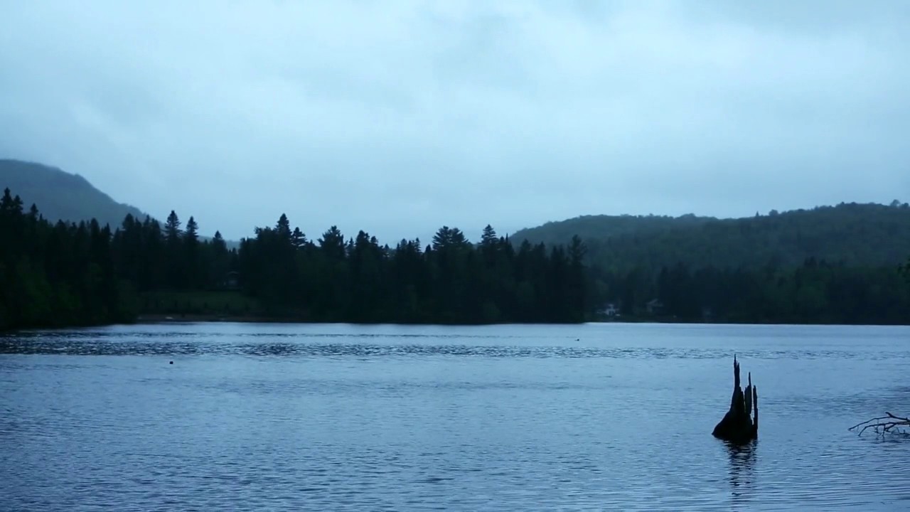 Nadie descuida lo que en verdad le importa - Mundos Divididos-