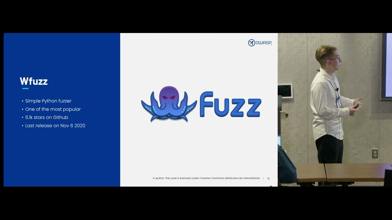 API Fuzzing in the SSDLC Problems and Possible Solutions
