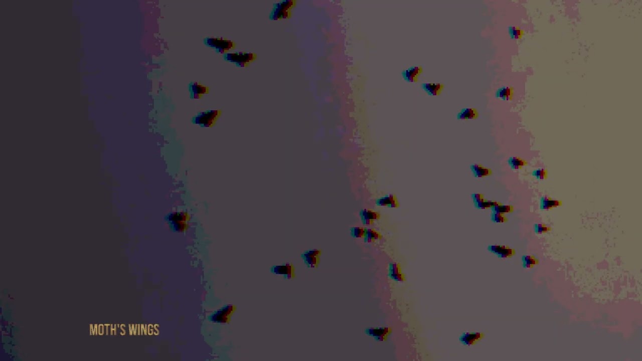 Passion Pit - Moth's Wings (slowed + reverb)