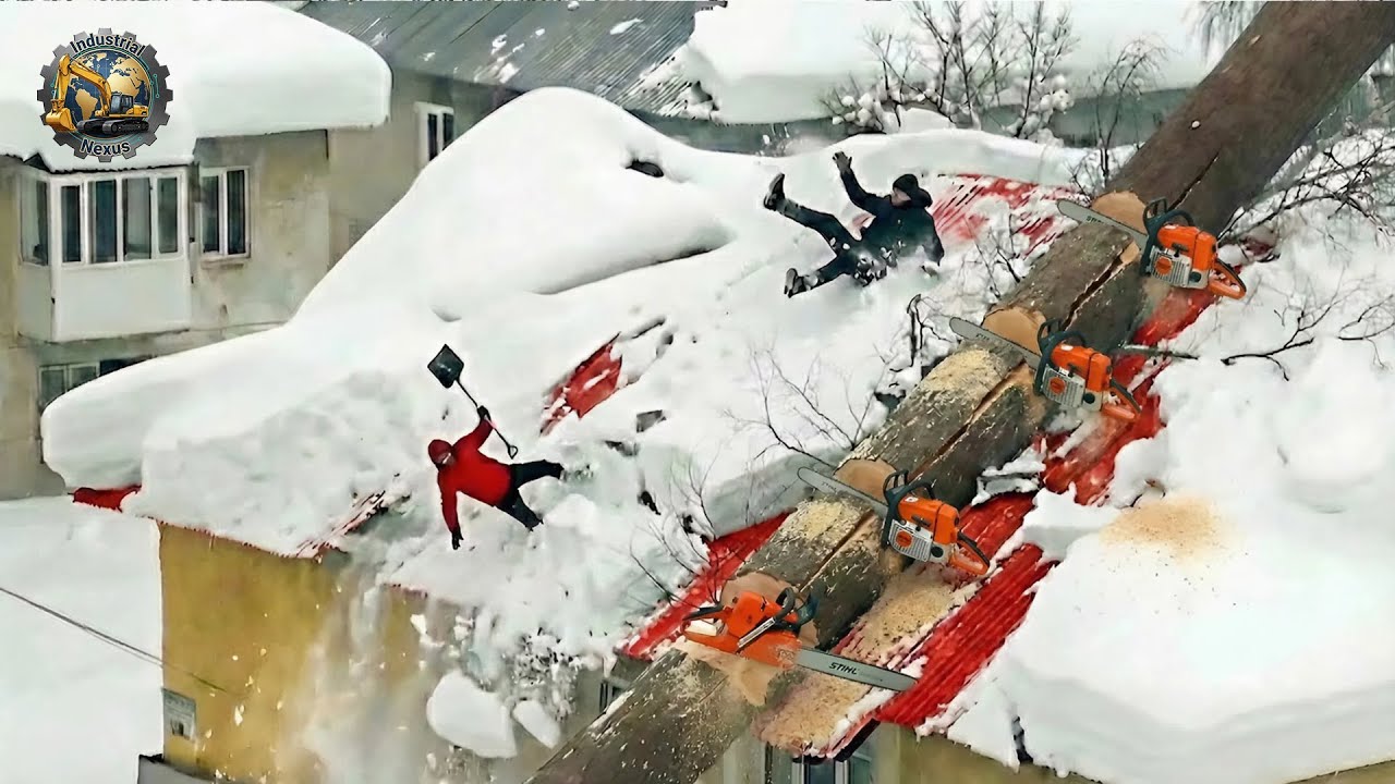 Idiots With Chainsaws: Tree Cutting Fails | Extreme Dangerous Logging Truck Fails #30
