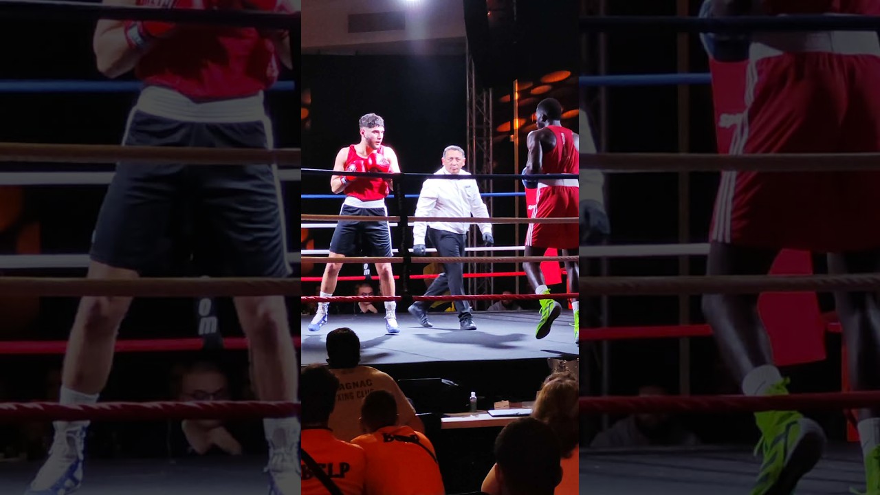 Lion Boxe 999 126