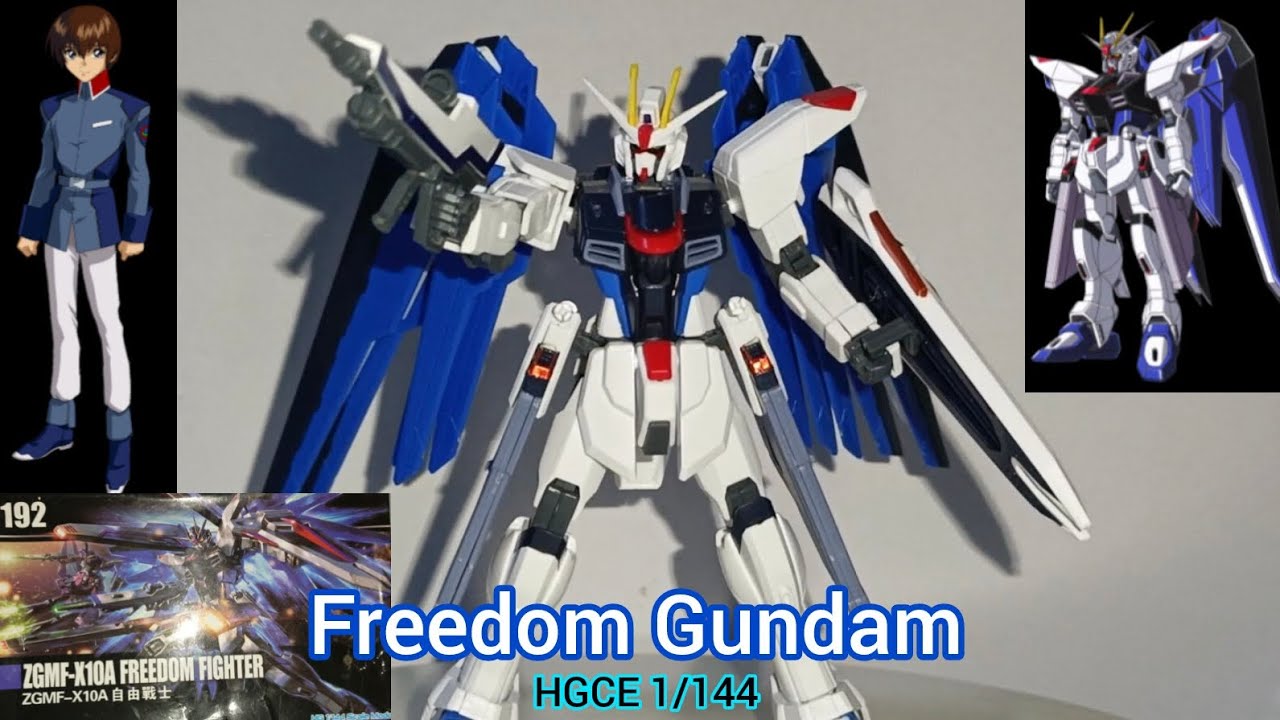 HGCE 1/144 Freedom Gundam (Bootleg) Daban: Freedom Fighter (Quick Build) 