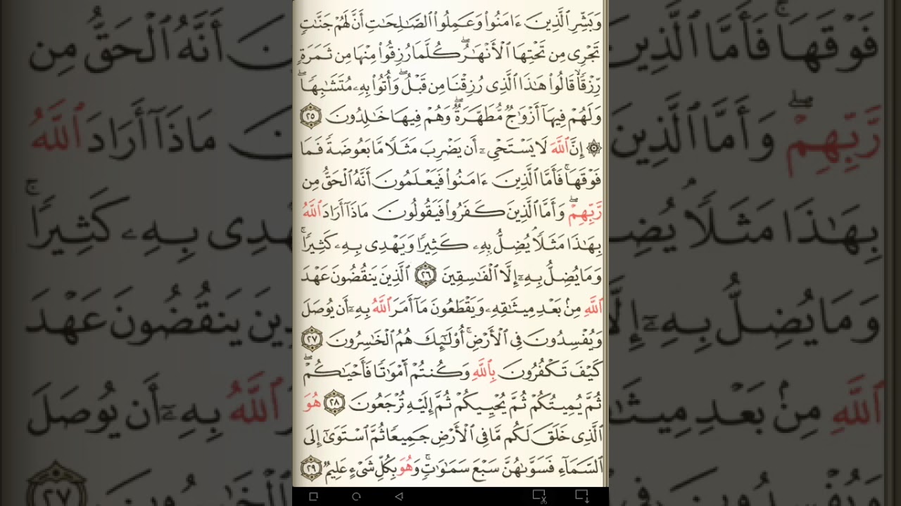 ماهر المعيقلي سورة البقرة مكتوبة صفحة 5 مصحف المدينة المنورة جودة عالية
