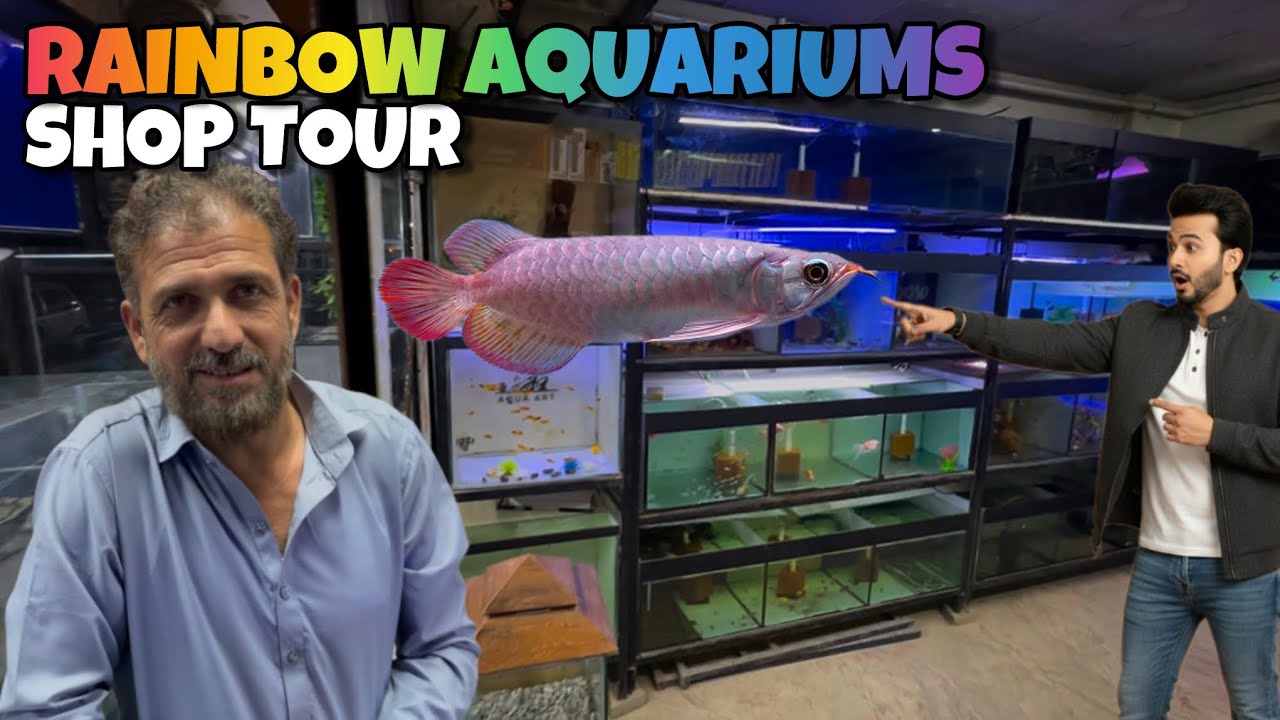 Rainbow Aquariums Fish Shop Tour | Latest Stock & Prices 2025 - Imran’s World