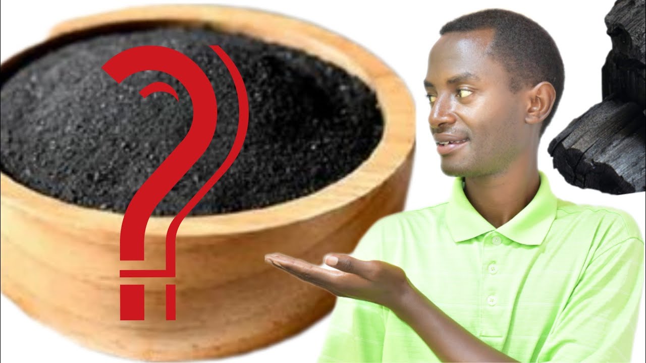 KUKI MU BYUKURI buri MU RYANGO ukeneye amakara. Dore Indwara amakara avura.