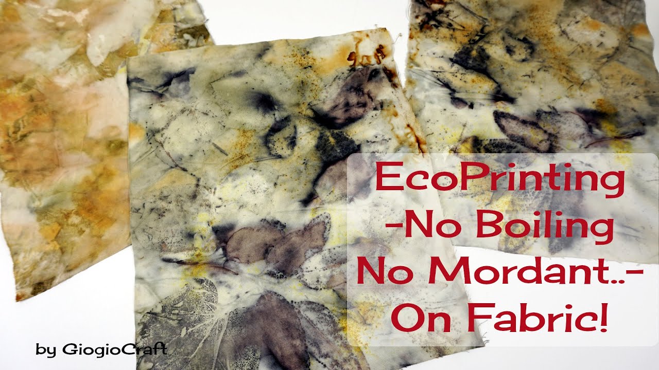 Ecoprint-No Boiling No Mordant on Fabric