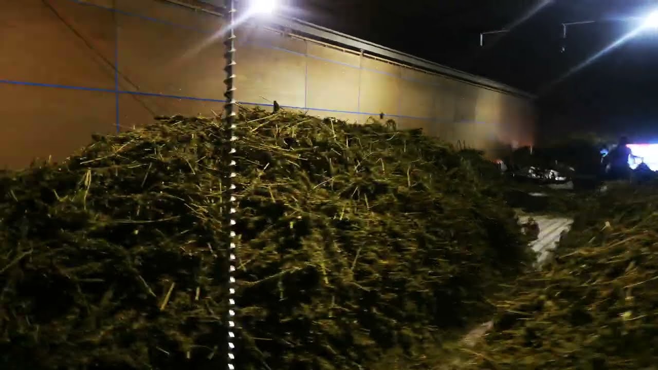 Mediweed's UK Hemp Harvest Yields 28 Tons of High-Grade Crop for CBD Oils and Teas by Crop-England