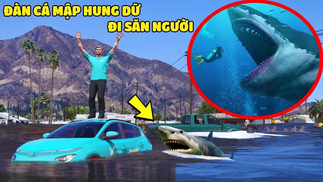 GTA 5 TRẬN LŨ LỚN Mang Theo Đàn Cá Mập Hung Dữ Tràn Vào Bãi Biển Tấn Công Ăn Thịt Tất Cả Mọi Người