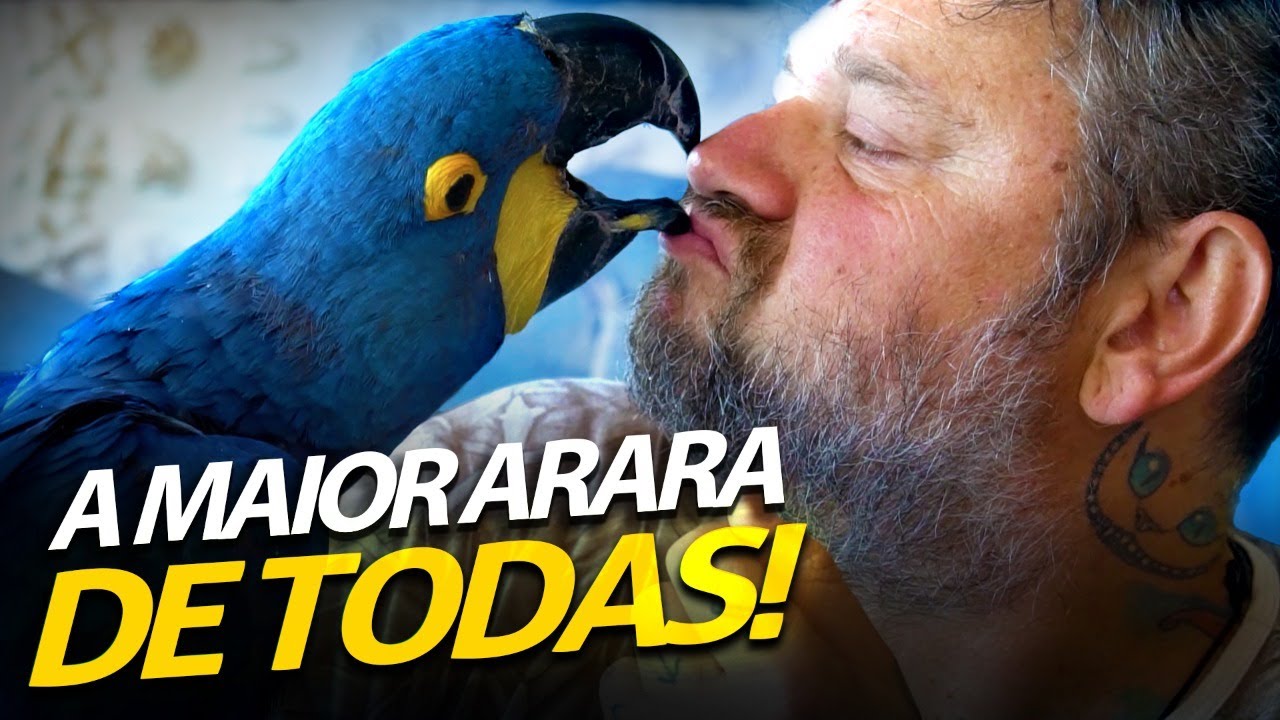 JADE, A ARARA AZUL: UMA NOVA INTEGRANTE DA CASA DOS BICHOS!