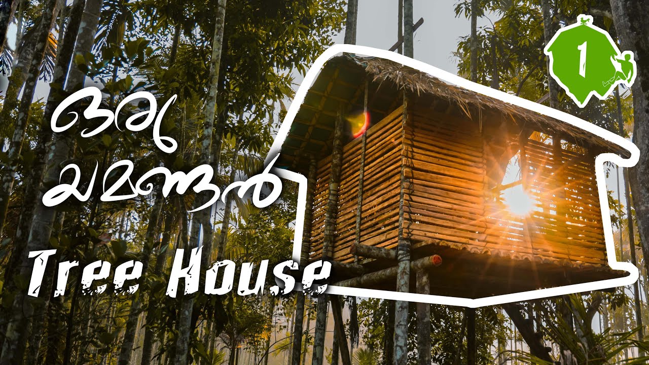 ഏറുമാടം | 15 feet ഉയരത്തിൽ | Beautiful Spacious Tree House You Can Move Into | Tree House Malayalam