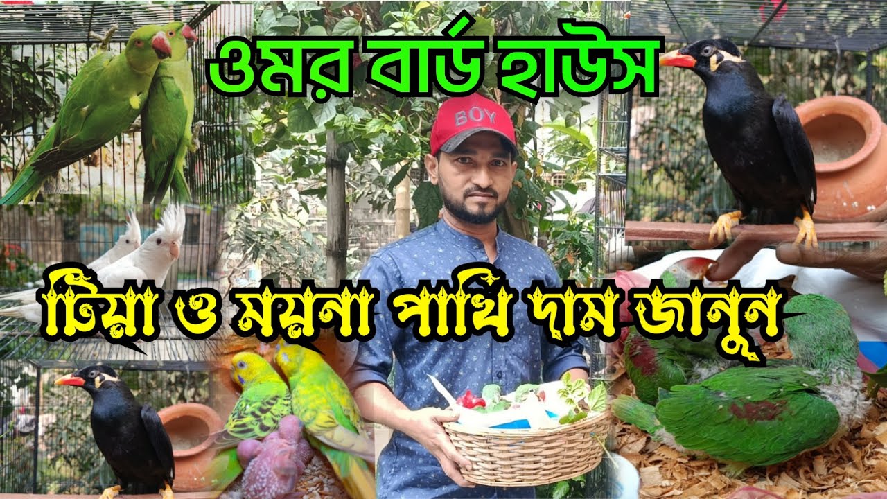 টিয়া পাখি ও ময়না পাখির দাম জানুন 
