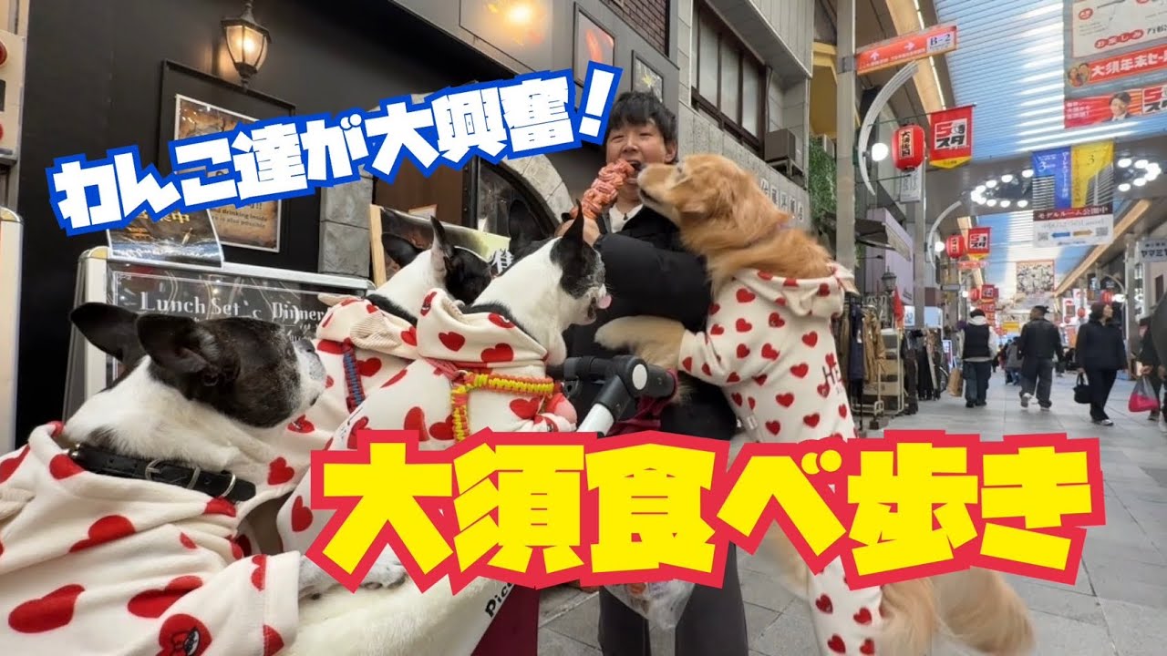 【大須商店街】名古屋一の商店街での愛犬達と食べ歩きツアーしてきた