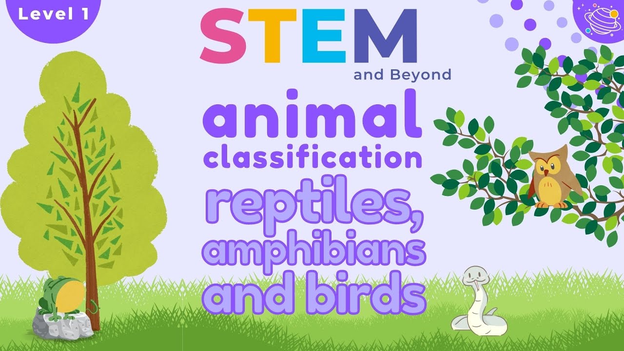Classifying Animals KS1 | Reptiles, Amphibians, and Birds