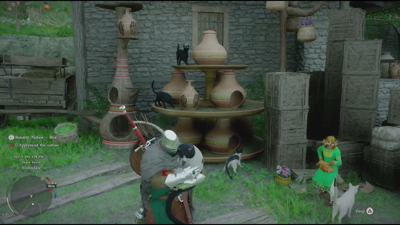 Crimson Desert: Cat Village