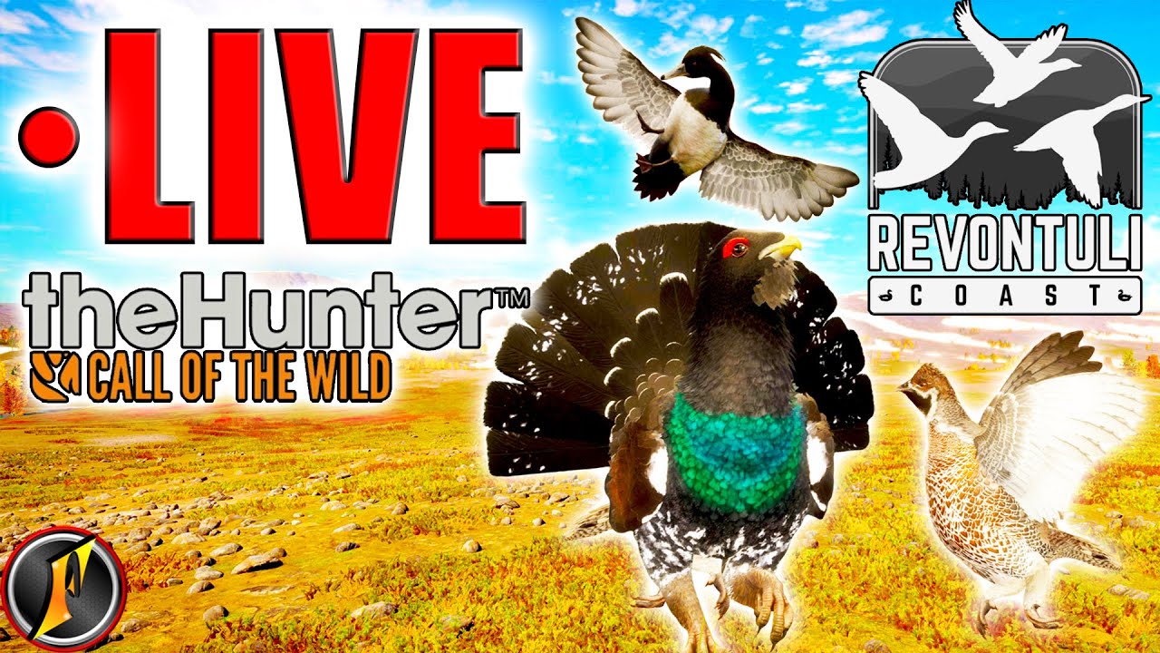 A Revontuli Coast Break from Black Bear! | LIVE!