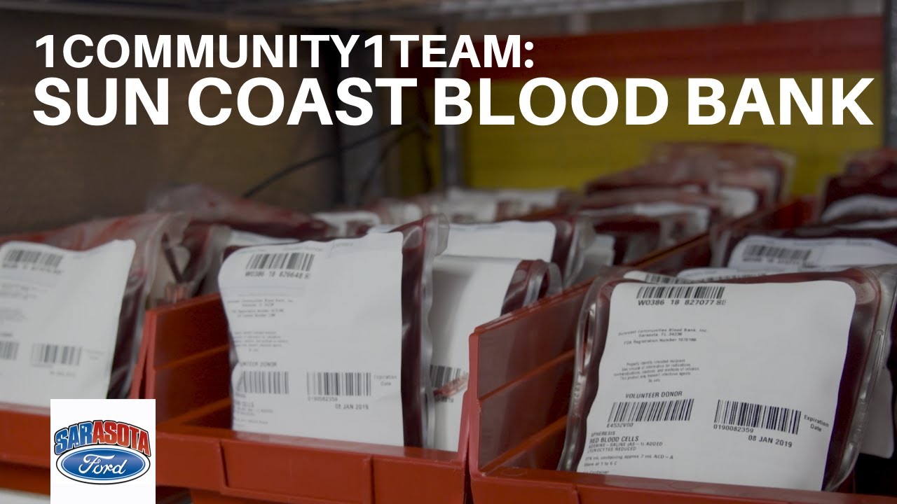 1 Community 1 Team: Sun Coast Blood Bank
