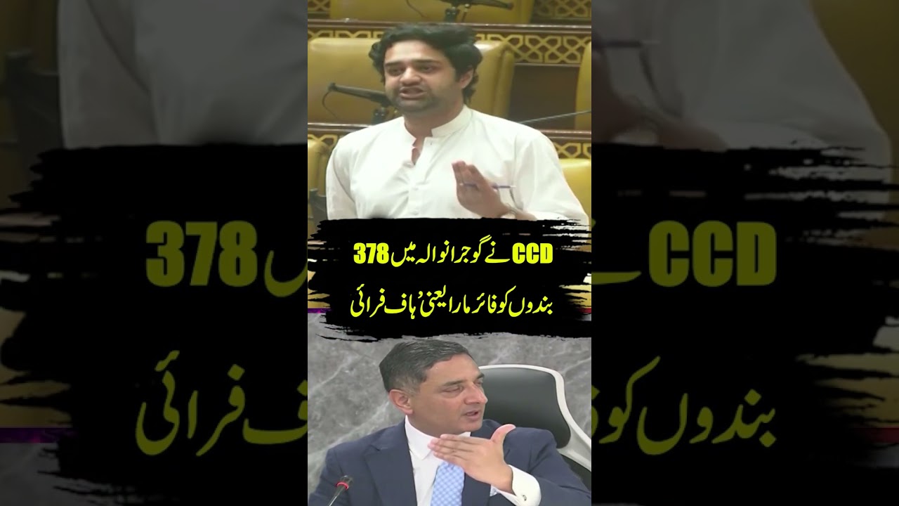 Gujranwala Under Scrutiny: Allegations Against CCD and Police Explained | RNN TV