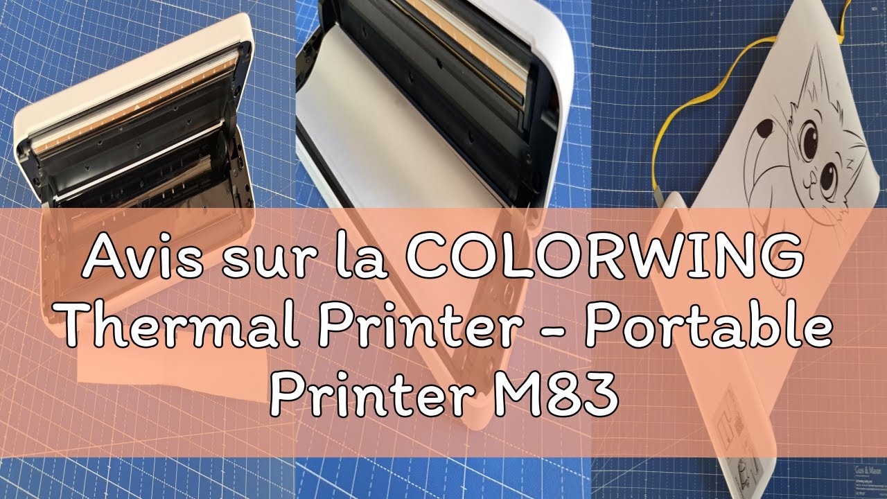 Avis sur la COLORWING Thermal Printer - Portable Printer M835 Mobile Printer A4 Mobile Printer for T