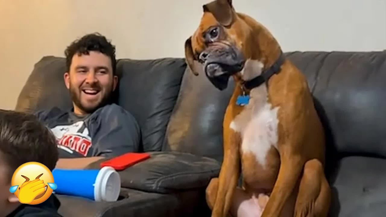 Funny and cute animal videos to put you in a great mood! 🐈 Smile! 😺 🍜 Funniest Animals 2025