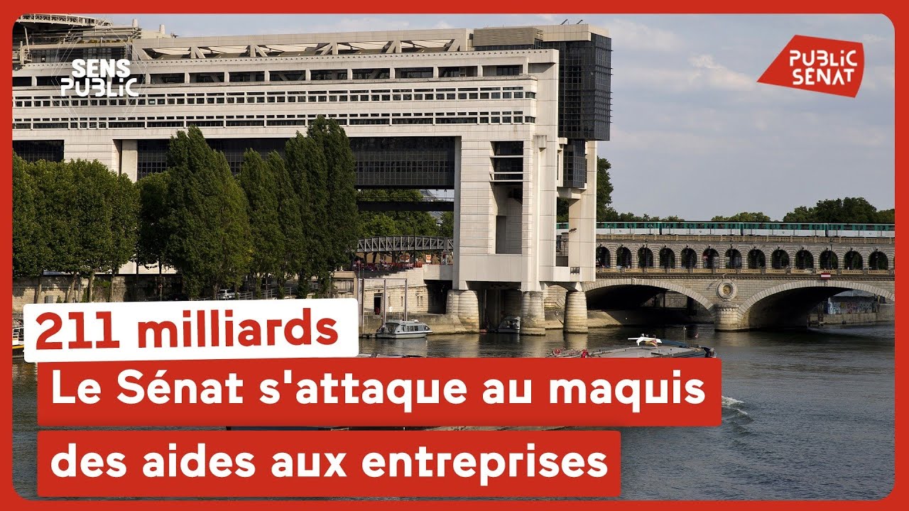 211 milliards : le Sénat s'attaque au maquis des aides aux entreprises