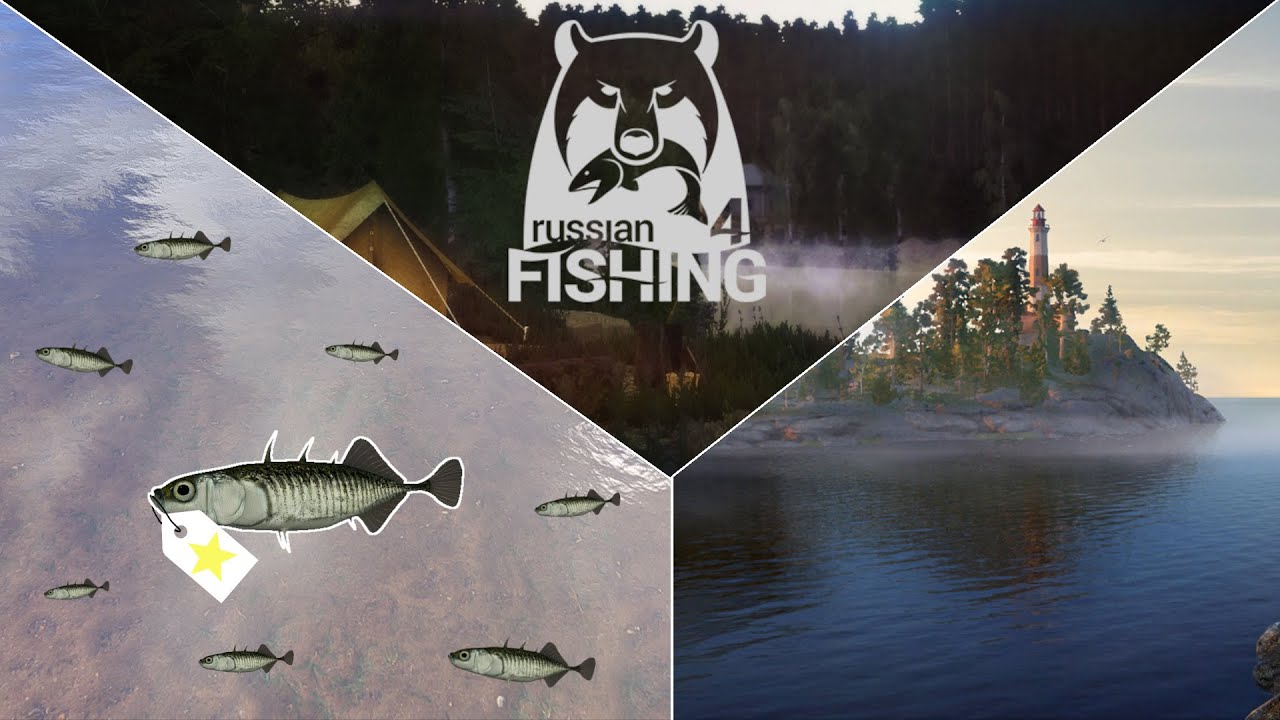 Dreistachliger Stichling - Ehrenfischer Ladogasee | Russian Fishing 4