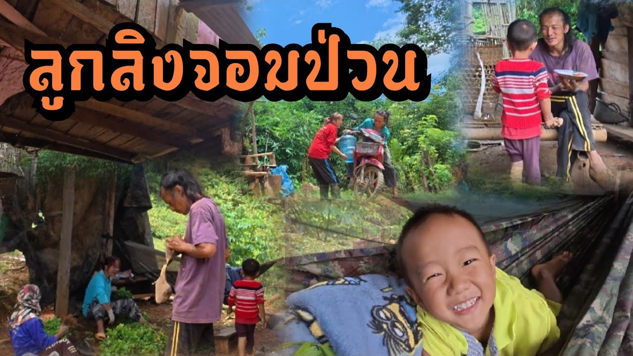 ได้เวลาถอนผัก!!! พาลูกลิงไปป่วนลุงจง ช่วยกันถอนผักให้ทันเวลา ไปแย่งค่าขนมพี่จงอีกแล้ว!
