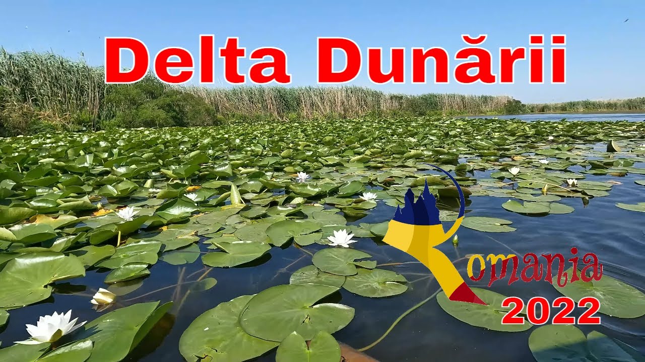 Plimbare cu barca in Delta Dunarii, Padurea Letea si iesirea in mare