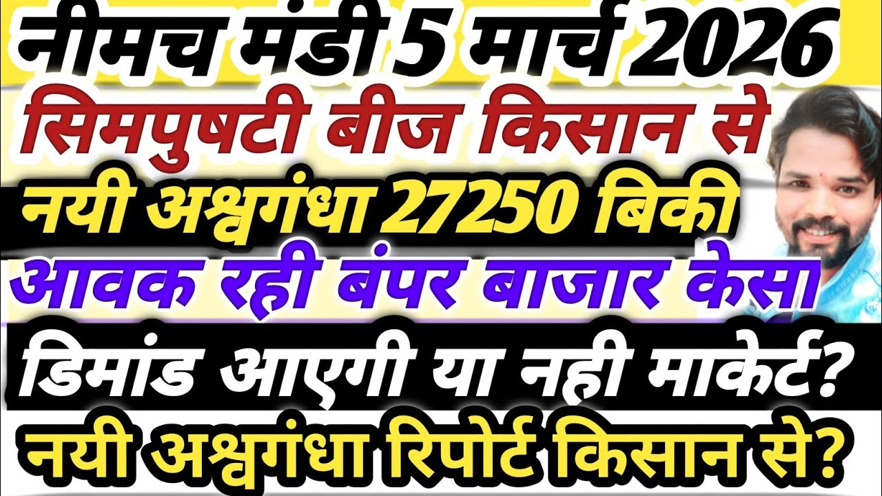 नीमच मंडी भाव। आज का नयी असगंध जड़ का भाव। Ashwagandha ka bhav neemuch mandi asgandh bhav today 